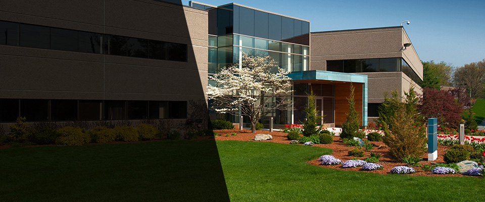 Somerville Landscapers