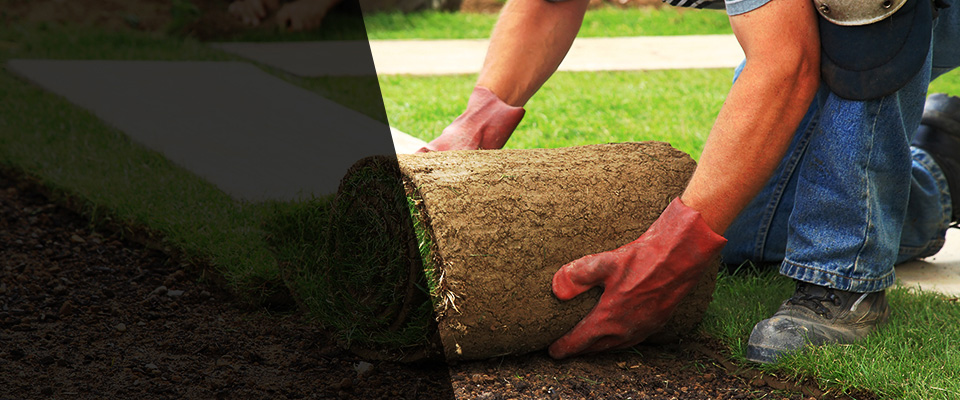 Somerville Landscapers